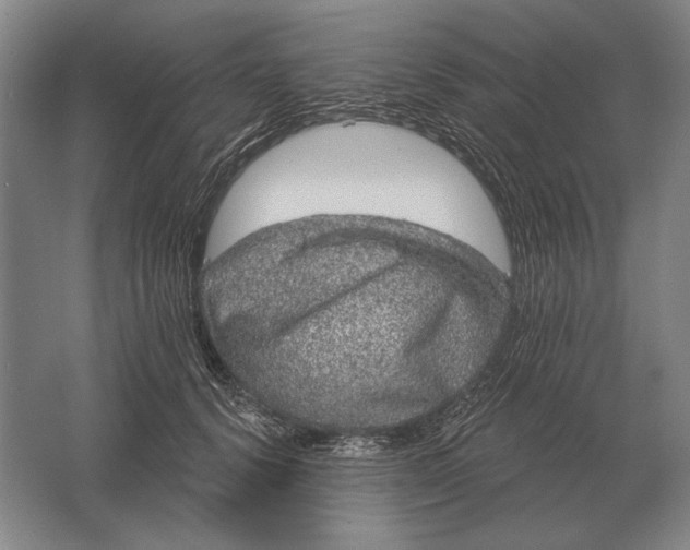 X0000061730656200512161623