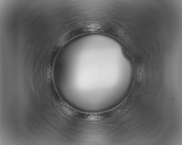 X0000061730657200512161623