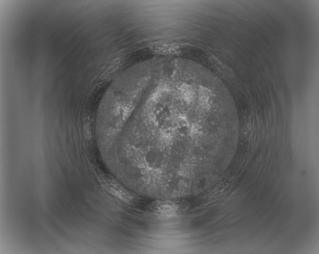 X0000061730658200512161623