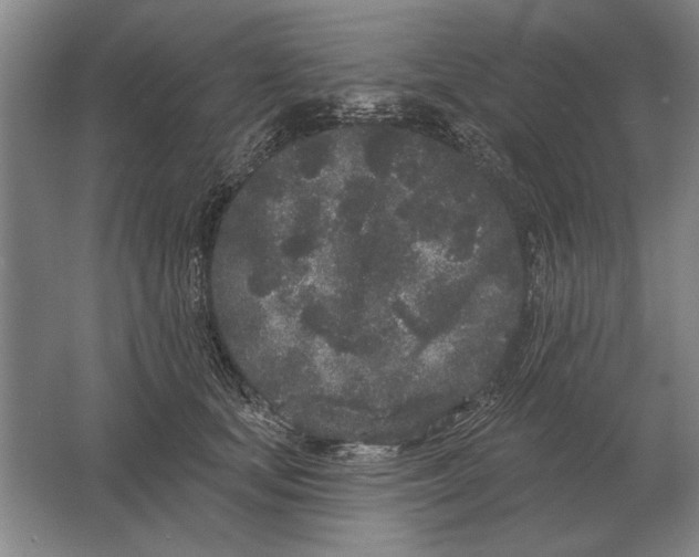 X0000061730659200512161624