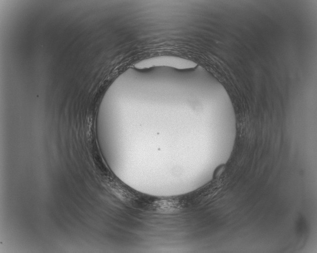 X0000061730660200512161624