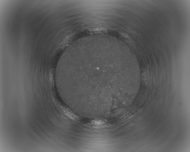 X0000061730662200512161624