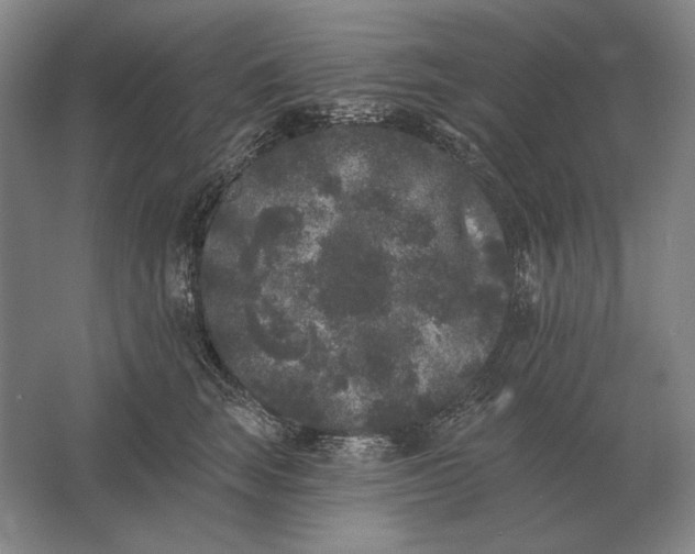 X0000061730663200512161624