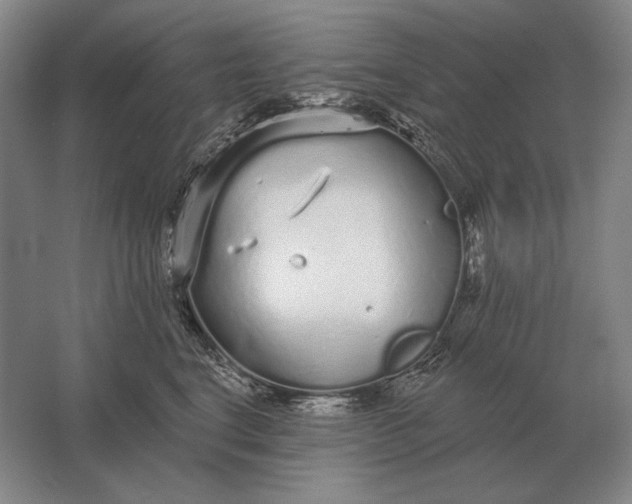 X0000061730664200512161624