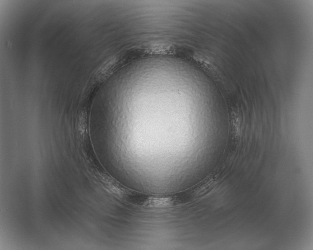 X0000061730665200512161624