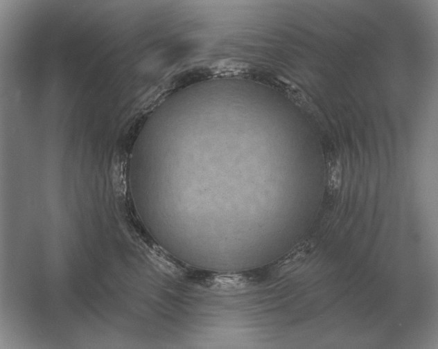 X0000061730666200512161624