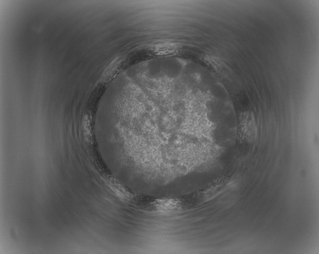 X0000061730667200512161624