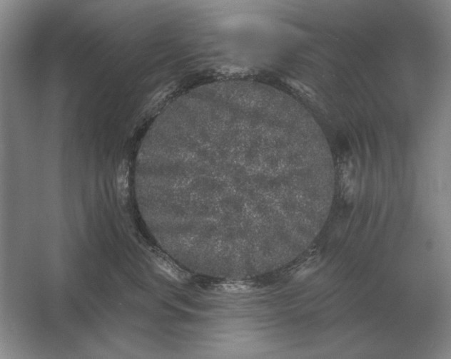 X0000061730668200512161624