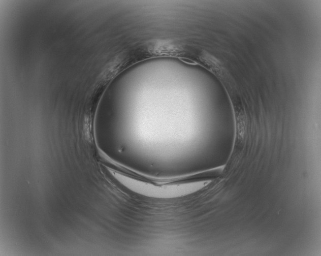 X0000061730669200512161624