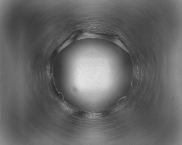 X0000061730670200512161624