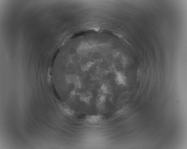 X0000061730671200512161624