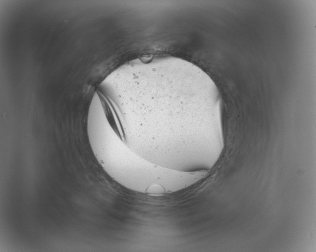 X0000061730672200512161624