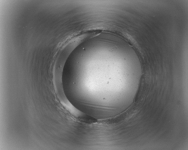 X0000061730673200512161623