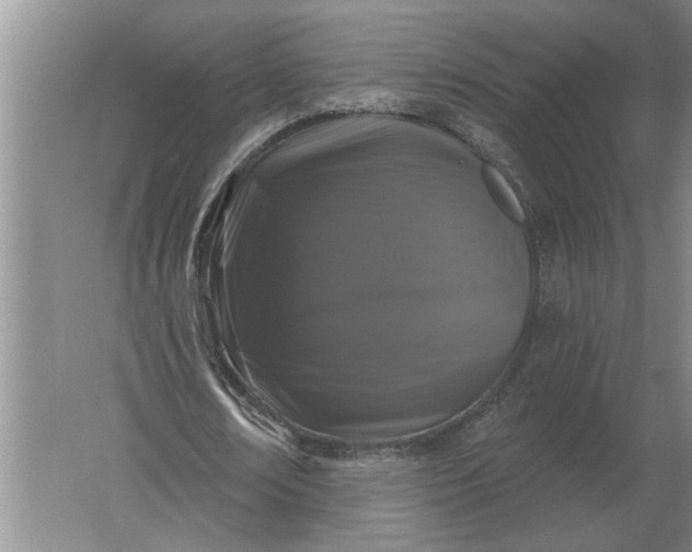 X0000061730674200512161623