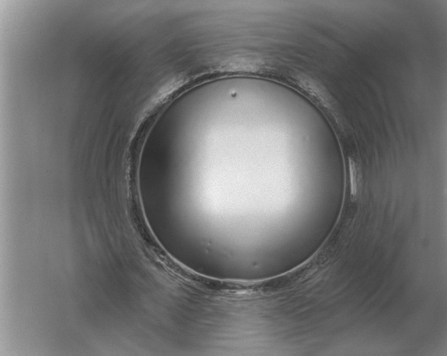 X0000061730675200512161623