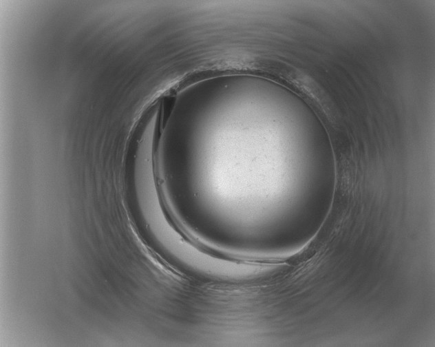 X0000061730677200512161623