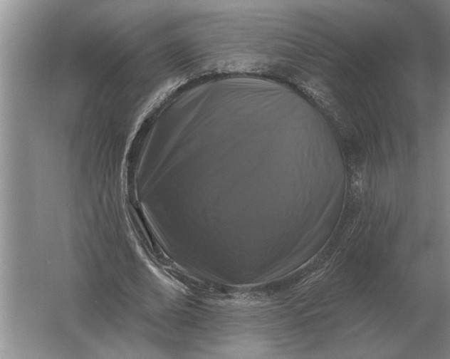 X0000061730678200512161623