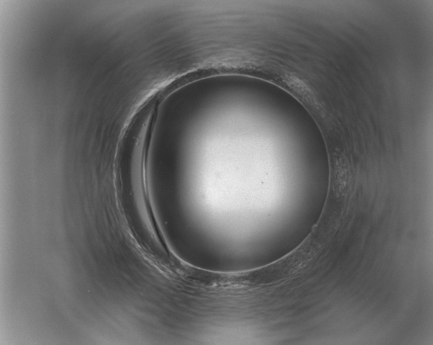 X0000061730680200512161623