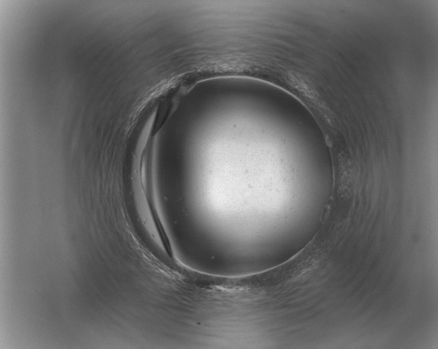 X0000061730681200512161623