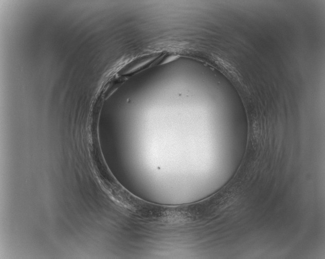 X0000061730682200512161623