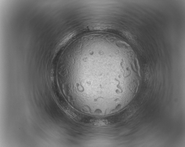 X0000061730683200512161623