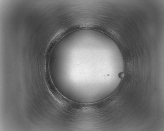 X0000061730686200512161623