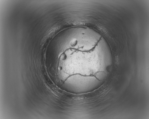 X0000061730687200512161623