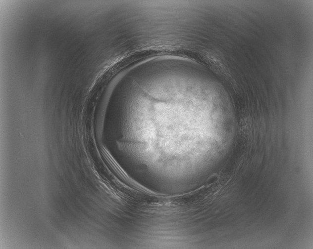 X0000061730688200512161623