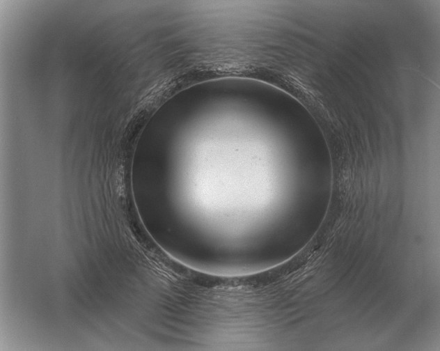 X0000061730689200512161623