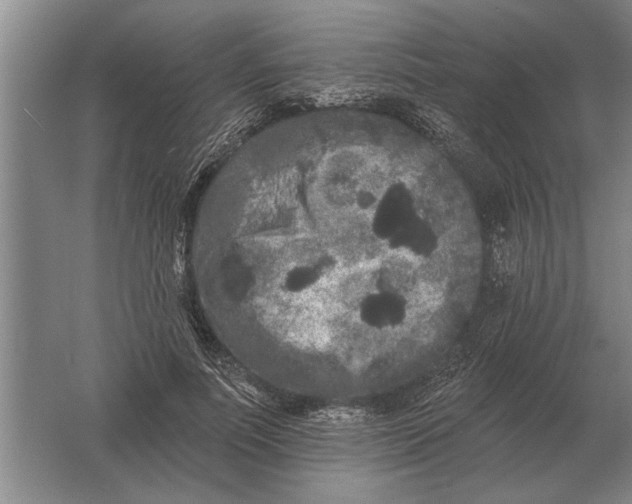 X0000061730691200512161623