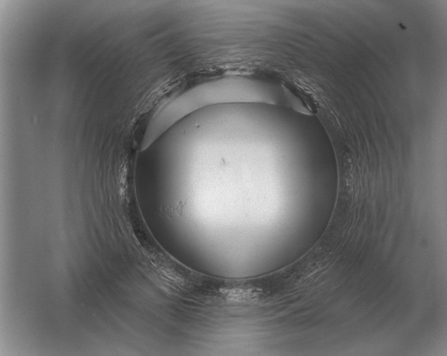 X0000061730693200512161623