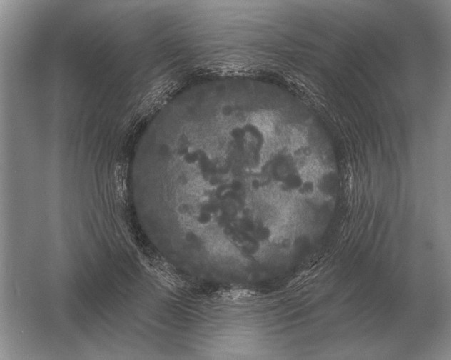 X0000061730695200512161623