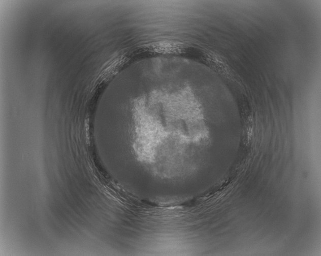 X0000061730696200512161623