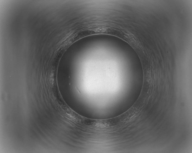 X0000061730697200512161622