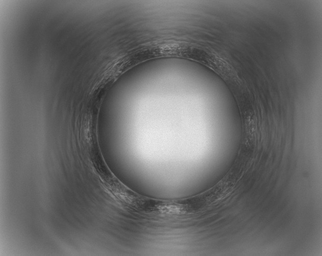 X0000061730698200512161622