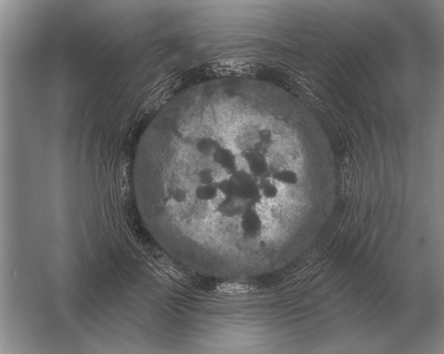 X0000061730699200512161622