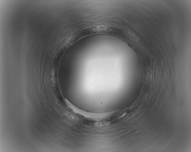 X0000061730700200512161622