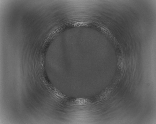 X0000061730701200512161622