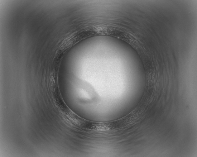 X0000061730702200512161622