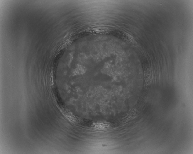 X0000061730703200512161622