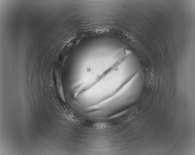 X0000061730704200512161622