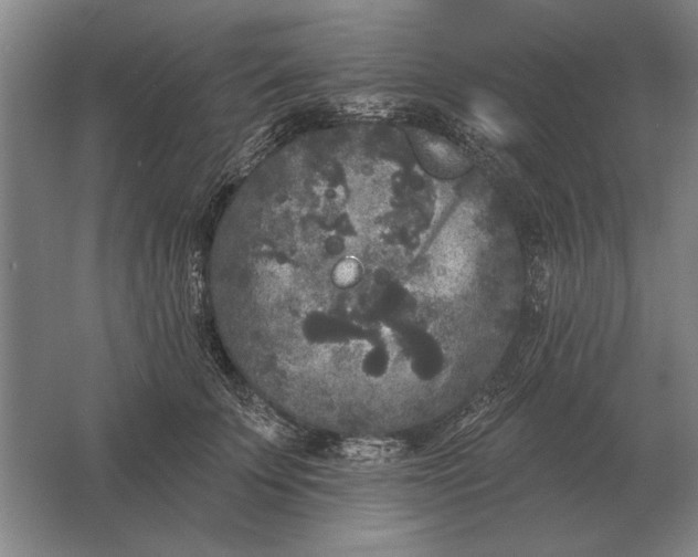 X0000061730707200512161622