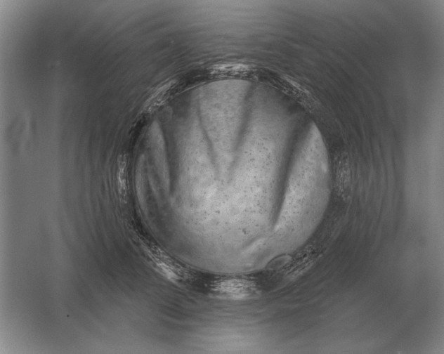 X0000061730708200512161622