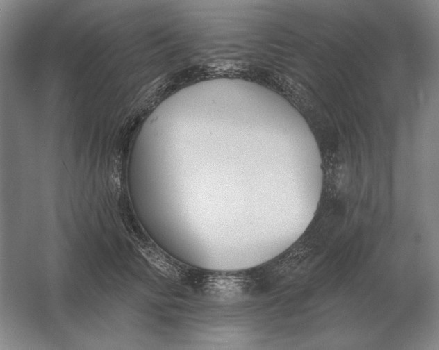 X0000061730710200512161622