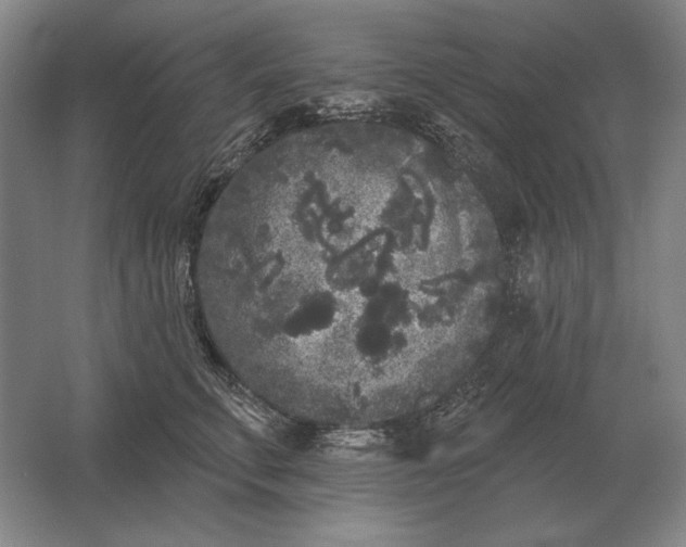 X0000061730711200512161622