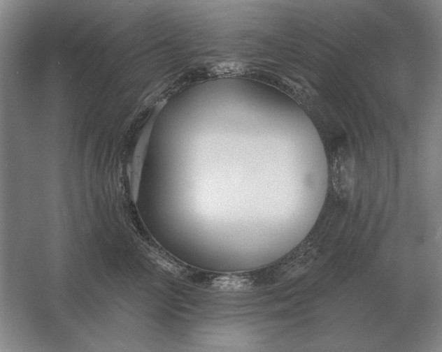 X0000061730714200512161622