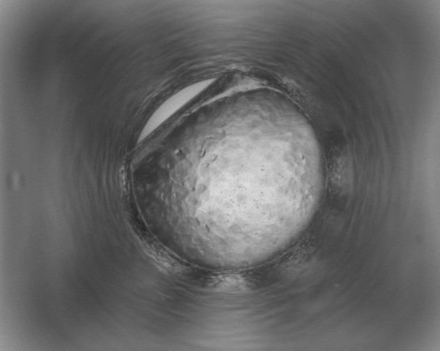 X0000061730715200512161622