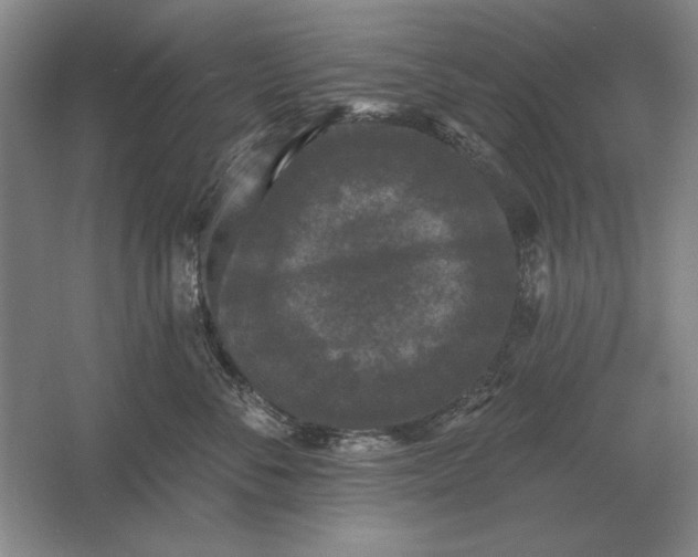 X0000061730716200512161622