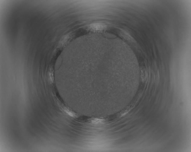 X0000061730718200512161622