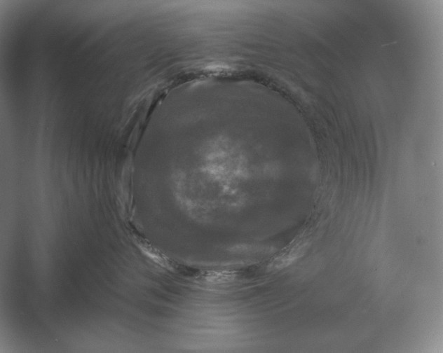 X0000061730720200512161622